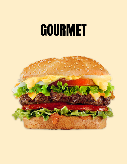 Hamburguesa Gourmet